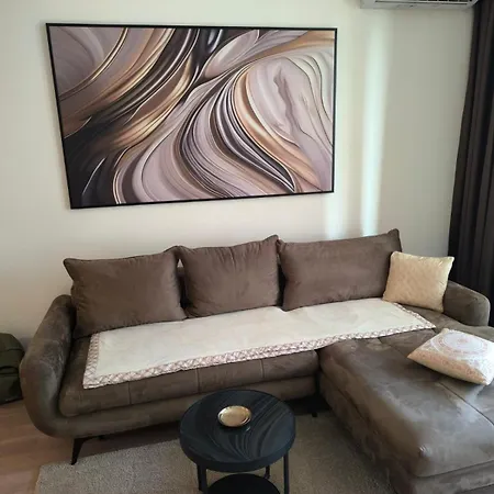 Waterfront Shine Quartet 3